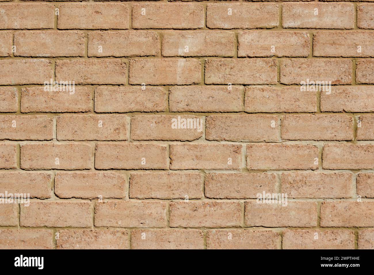 Photographie rapprochée d'un mur en briques traditionnelles en adobe, dans une construction près de la ville coloniale de Villa de Leyva, dans le centre de la Colombie. Banque D'Images