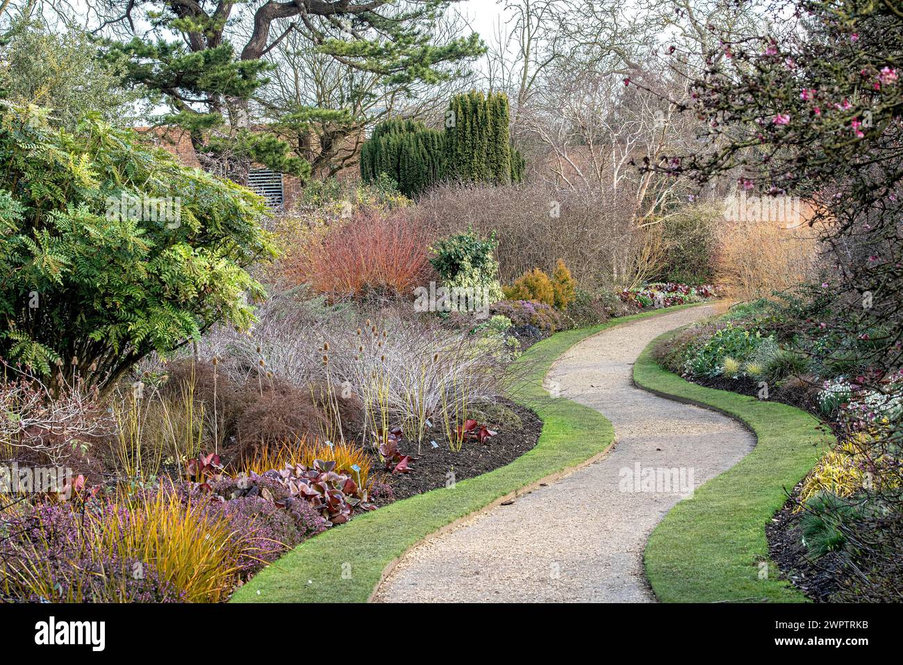 The Winter Garden at Cambridge Botanical Garden, Cambridge Botanical Garden, Grande-Bretagne Banque D'Images