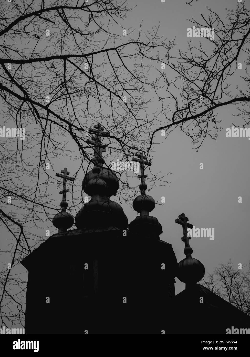 église orthodoxe shilouette sombre avec des branches en croix 28.02.2024 Banque D'Images église orthodoxe shilouette sombre avec des branches en croix 28.02.2024 Banque D'Images