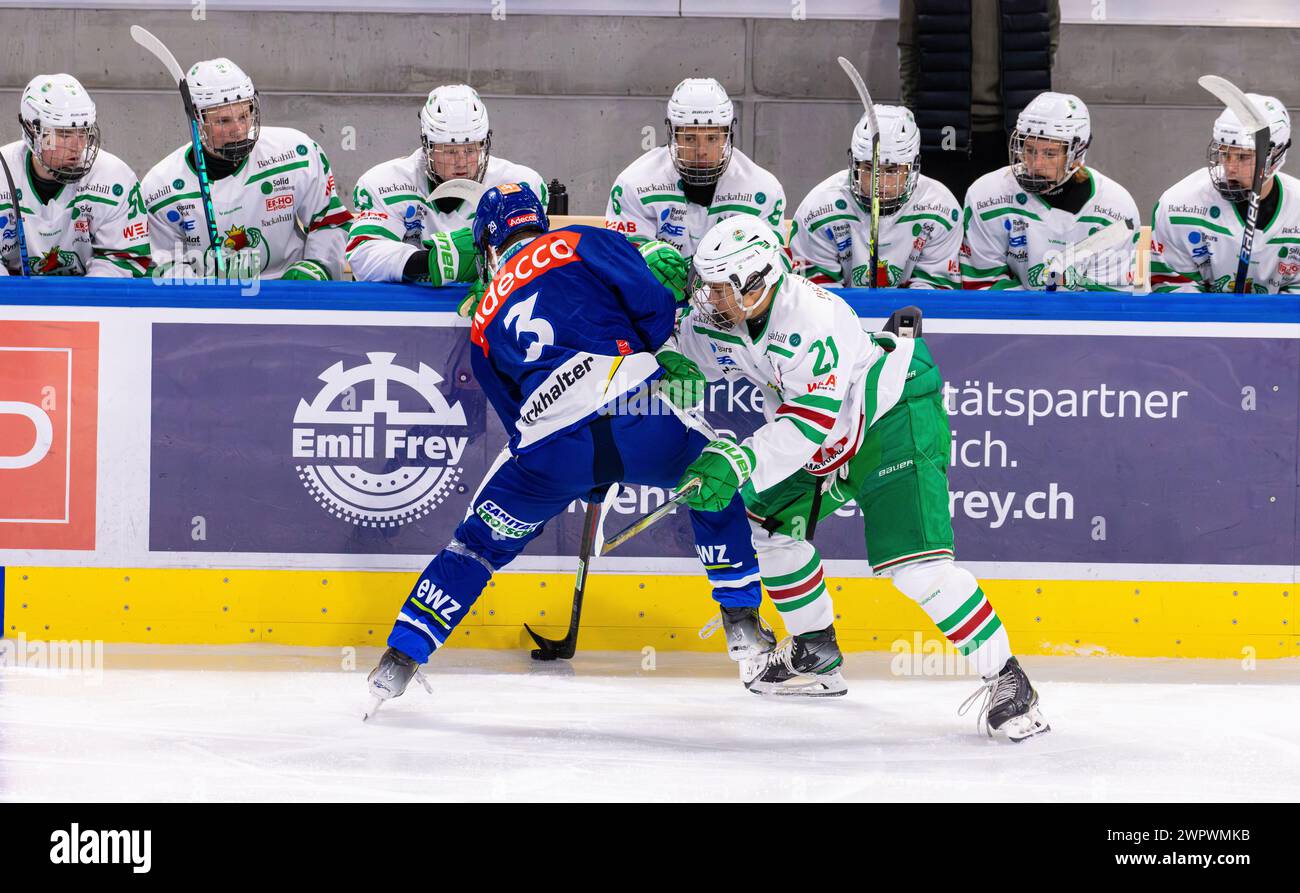 Zweikampf vor der Spielerbank von Rögle BK zwischen dem Lions Spieler #3 Daniil Ustinkov und dem Rögle BK Stürmer #21 Nils Bartholdsson während dem du Banque D'Images