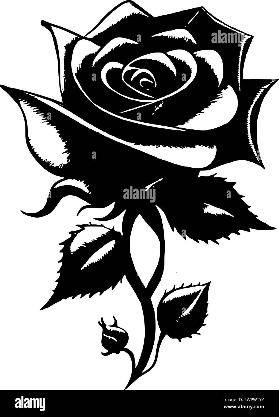 dessin graphique noir d'une fleur de rose avec des feuilles, monochrome, élément décoratif Banque D'Images