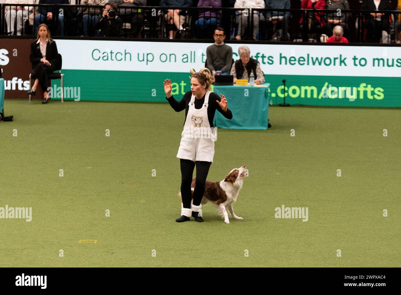 CRUFTS 2024 MAIN ARENA INTERNATIONAL FREESTYLE HEELWORK À LA MUSIQUE FINALE GENTING ARENA Banque D'Images