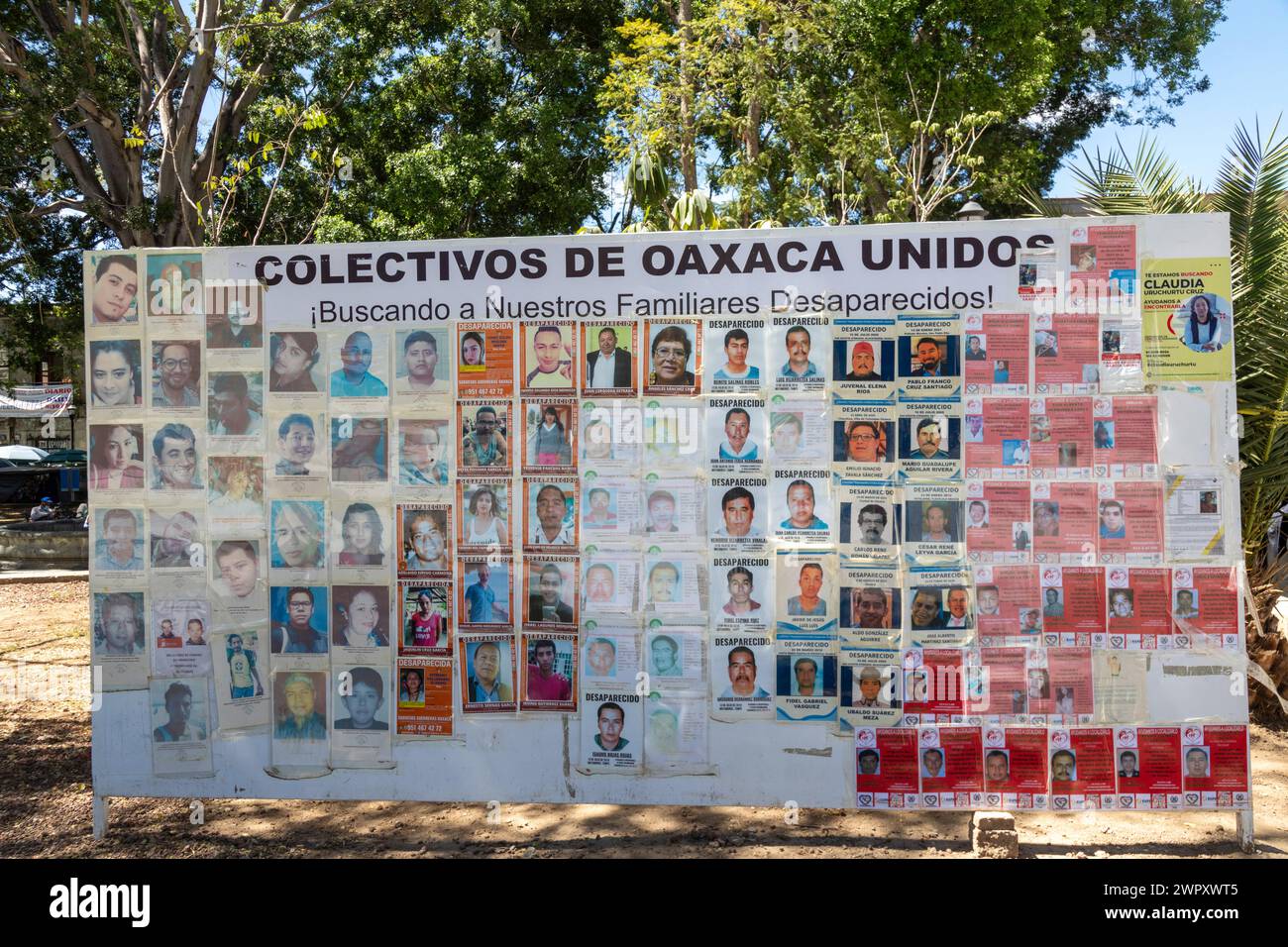 Oaxaca, Mexique - Un panneau d'affichage dans le zocalo montre les visages de personnes disparues. Au fil des ans, beaucoup ont disparu aux mains de gangs Banque D'Images