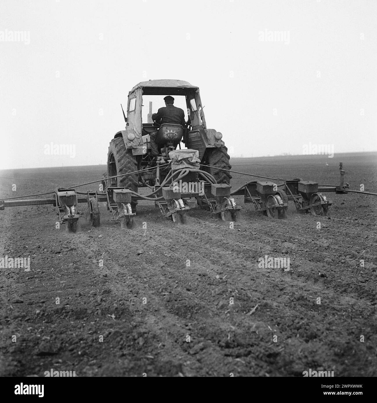 Une coopérative agricole d'État (C.A.P.) en Roumanie communiste, dans les années 1970 Tracteur plantant des semences dans un champ. Banque D'Images