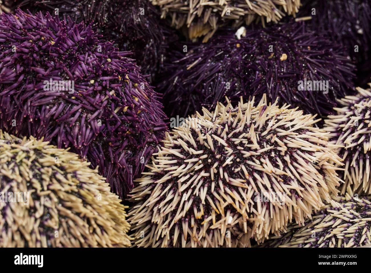 photo d'aliments sains sur le marché Banque D'Images