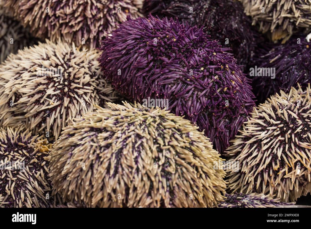 photo d'aliments sains sur le marché Banque D'Images