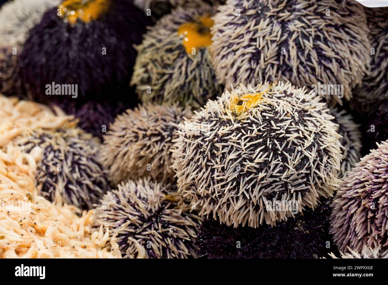 photo d'aliments sains sur le marché Banque D'Images