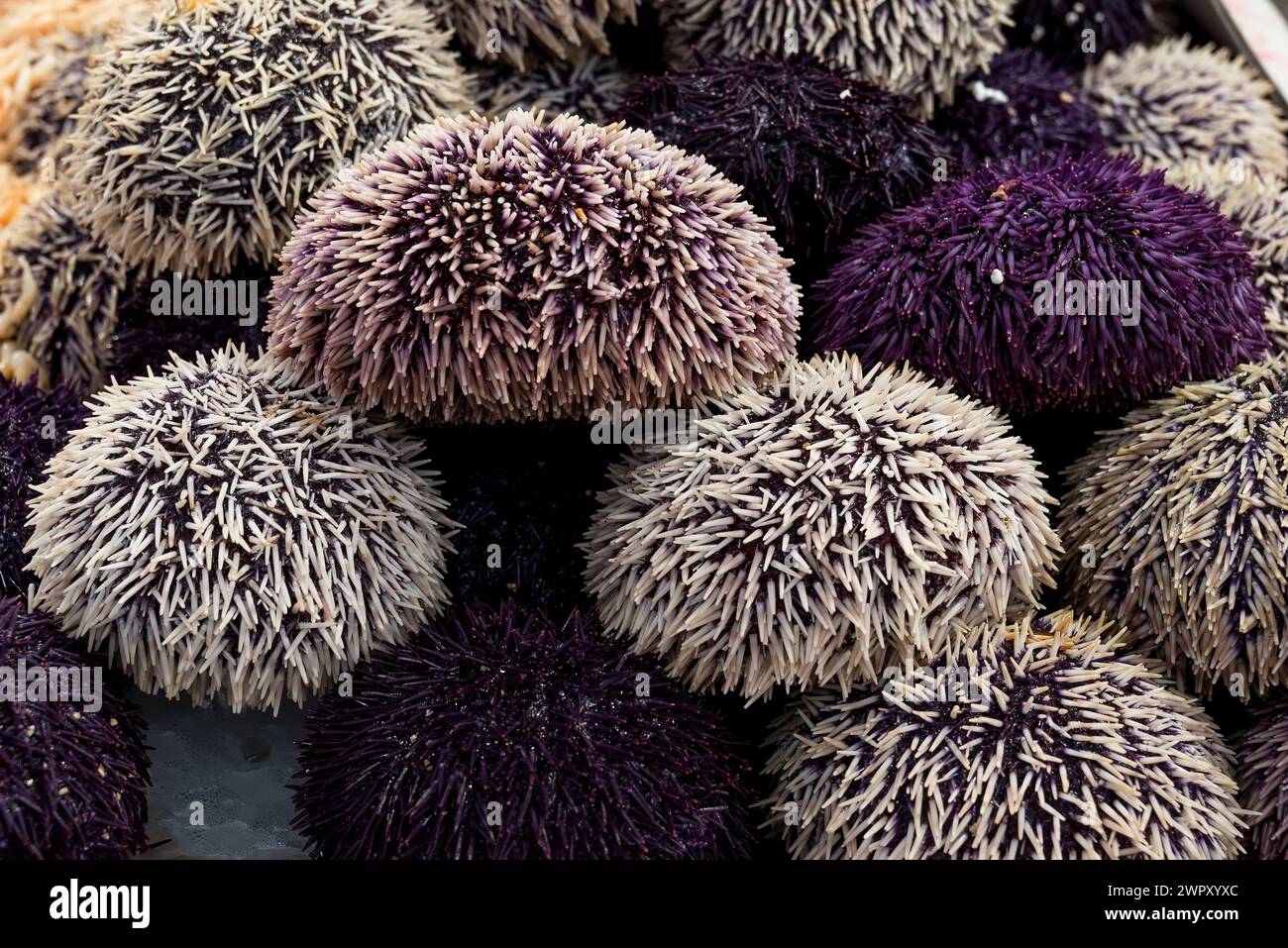 photo d'aliments sains sur le marché Banque D'Images