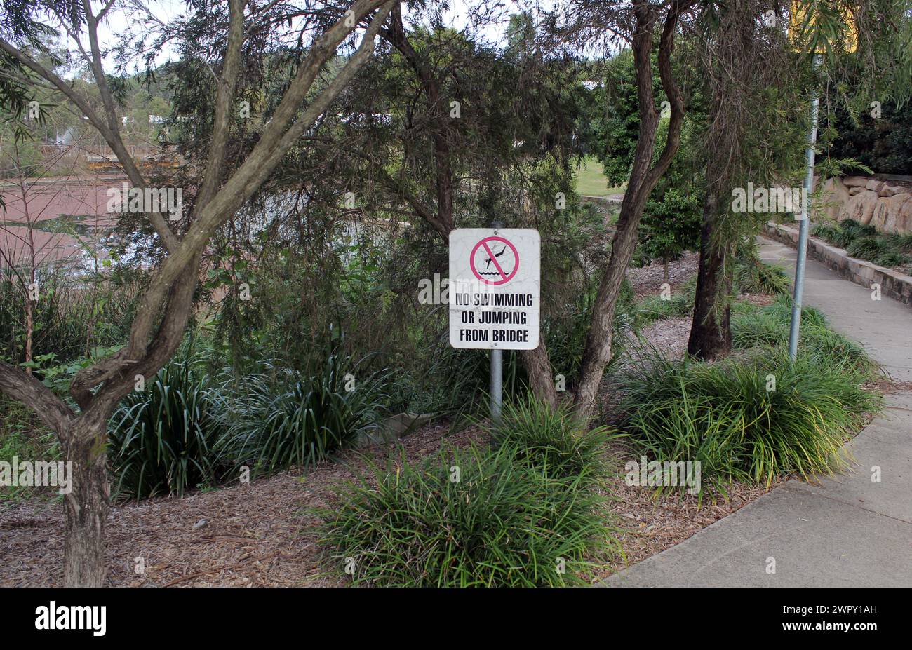 'Pas de baignade ou de plongée du pont' signe dans un parc avec des arbres et des plantes Banque D'Images