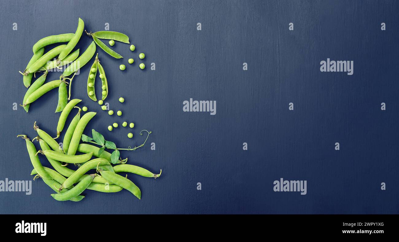 Gousses mûres de pois verts sur fond noir. Gros plan. Copier l'espace. Petits pois frais. Concept d'une alimentation saine, légumes frais.gousses de pois verts frais Banque D'Images