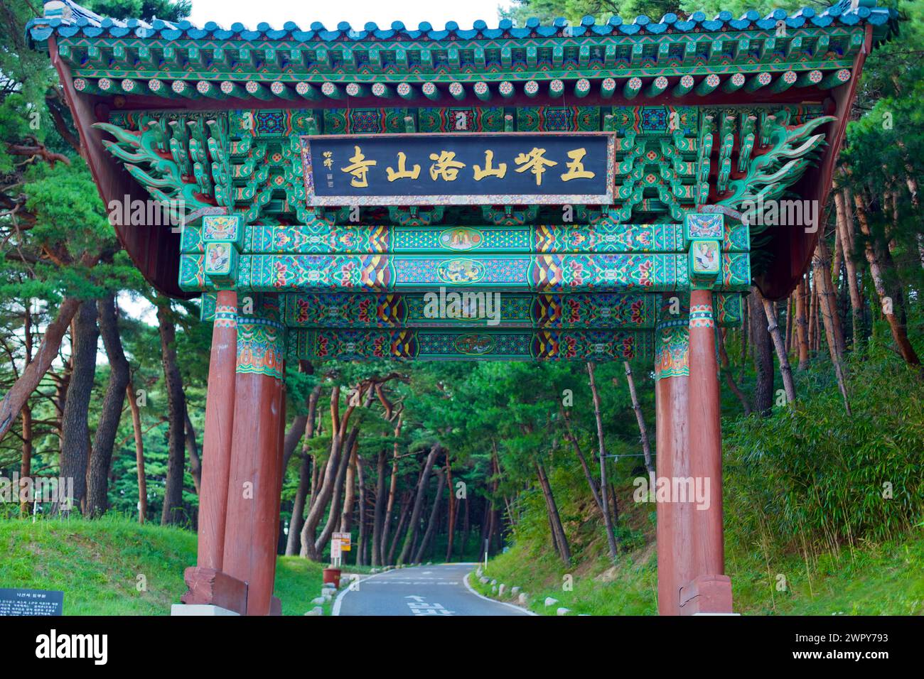 Comté de Yangyang, Corée du Sud - 30 juillet 2019 : la route menant à la porte d'entrée du temple Naksan, bordée par une canopée sombre de pins, créant un t Banque D'Images