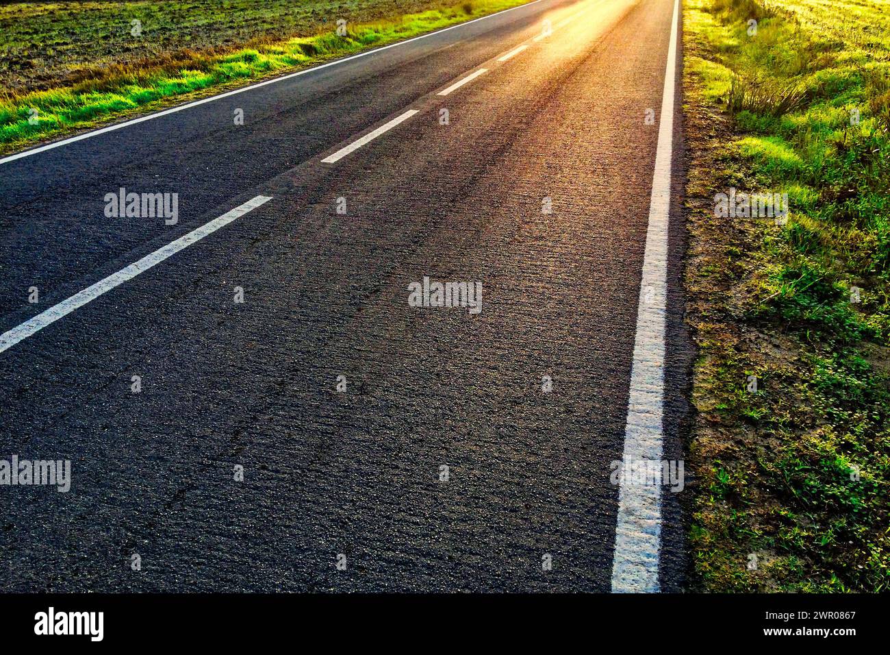 Une route ouverte aux lignes blanches, bordée de champs herbeux ensoleillés. Banque D'Images