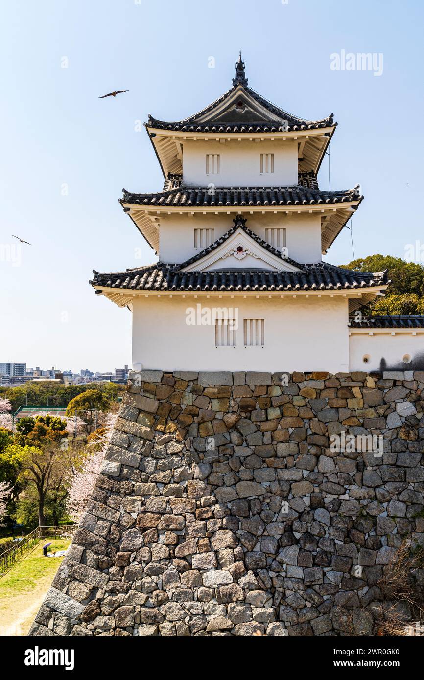 Château d'Akashi, Japon. Le tatsumi yagura, tourelle, au sommet de hauts murs de pierre abrupts d'Ishigaki dans le soleil printanier. Quelques cerfs-volants survolent. Banque D'Images