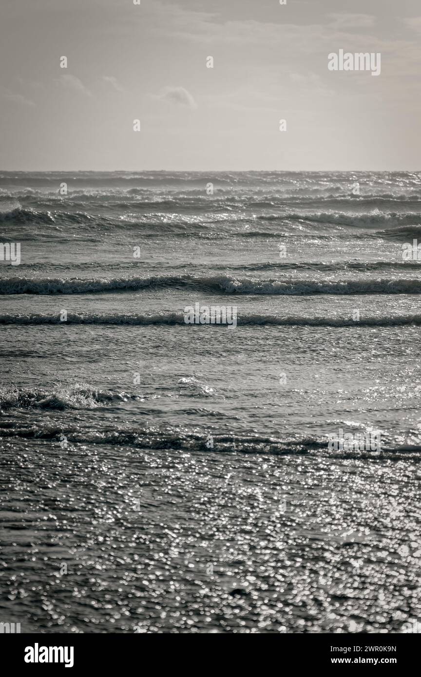 Paysage marin peu coloré en format vertical ; vagues peu profondes au premier plan ; vagues plus grandes plus loin ; ciel gris avec nuages whisky. Banque D'Images