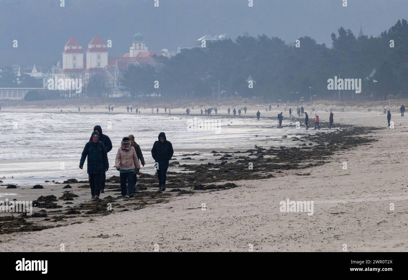 Strandwetter auf Ruegen Urlauber spazieren durch angespueltes Seegras und Tang am Strand von Binz an der Ostkueste der Insel Ruegen. Auf Deutschlands groesster Insel beginnt gerade die neue Tourismussaison. Binz Mecklenburg-Vorpommern Deutschland *** plage météo sur Ruegen vacanciers marchent à travers les algues et varech lavés sur la plage de Binz sur la côte est de l'île de Ruegen la nouvelle saison touristique commence juste sur la plus grande île allemande Binz Mecklenburg-Vorpommern Allemagne Banque D'Images