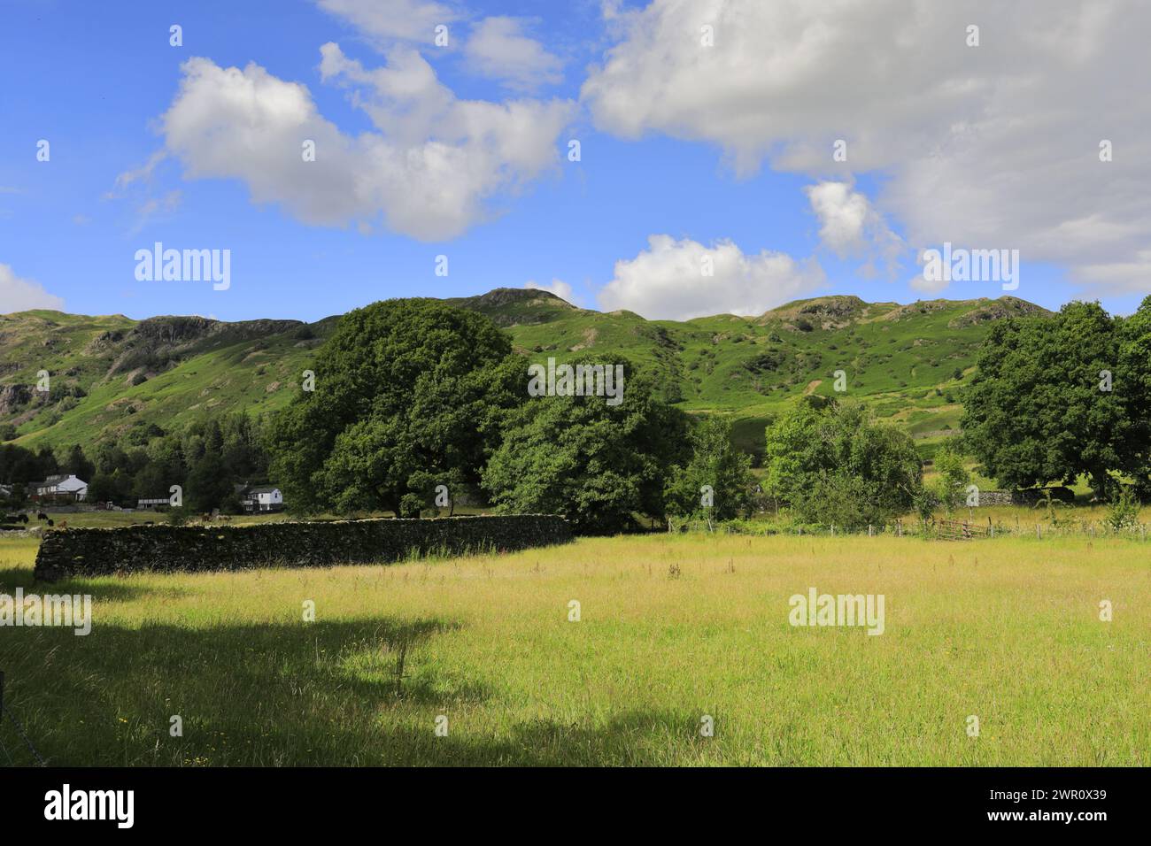 Vue estivale sur le village d'Elterwater, Langdale, Lake District National Park, Cumbria, Angleterre, Royaume-Uni Banque D'Images