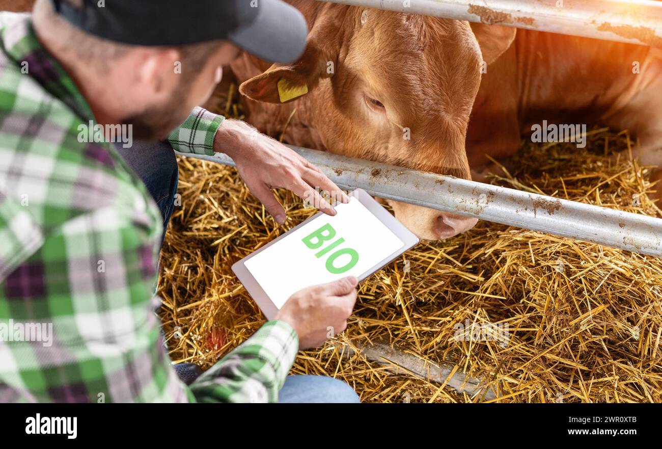 Élevage de ferme biologique. Man Farmer utilisant Digital Farmer contrôle et surveille les normes de qualité Bio. Banque D'Images