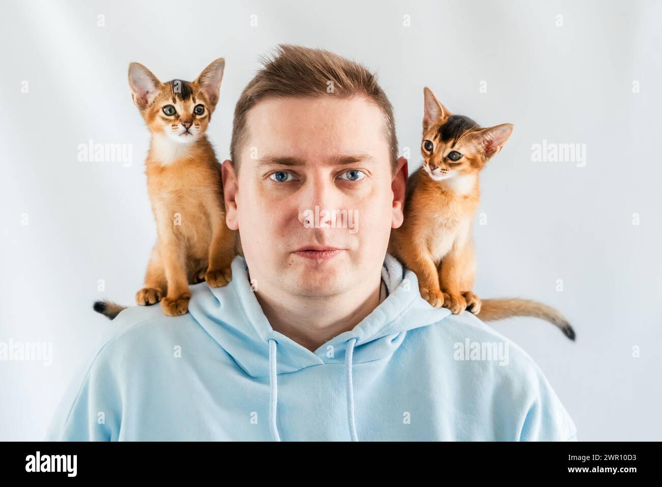 Sourire drôle homme en sweat à capuche bleu avec des chats jumeaux abyssiniens, petits chatons nouveau-nés assis sur les épaules. Fond blanc. Animaux heureux, moelleux domestique Banque D'Images