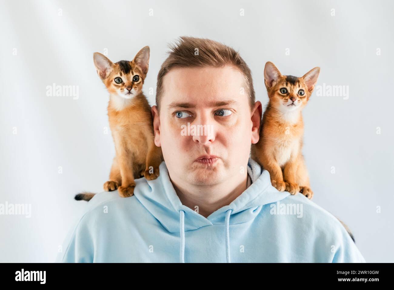 Sourire drôle homme en sweat à capuche bleu avec des chats jumeaux abyssiniens, petits chatons nouveau-nés assis sur les épaules. Fond blanc. Animaux heureux, moelleux domestique Banque D'Images