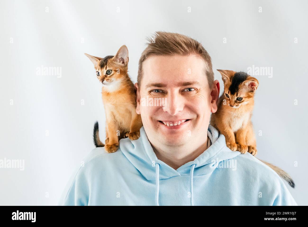 Sourire drôle homme en sweat à capuche bleu avec des chats jumeaux abyssiniens, petits chatons nouveau-nés assis sur les épaules. Fond blanc. Animaux heureux, moelleux domestique Banque D'Images