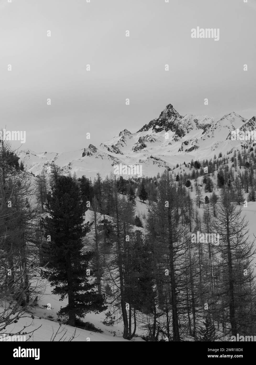 Pic de Rochebrune montagne près de Claviere, Italie Banque D'Images