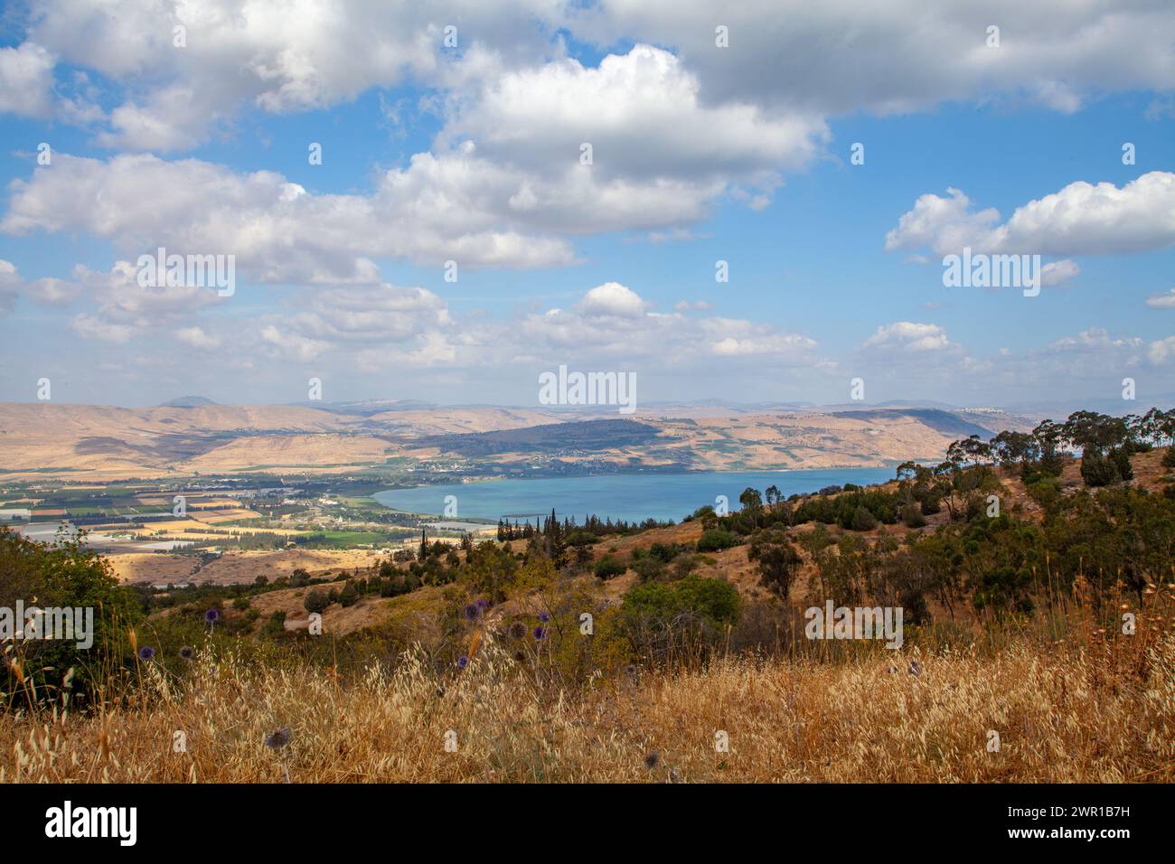 Mer de Galilée, aussi appelé lac de Tibériade ou Kinneret Banque D'Images