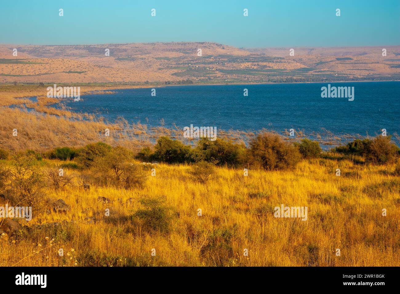 Mer de Galilée, aussi appelé lac de Tibériade ou Kinneret Banque D'Images