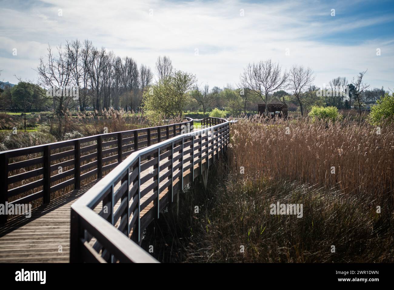 Parc municipal, Viana do castelo, Portugal Banque D'Images