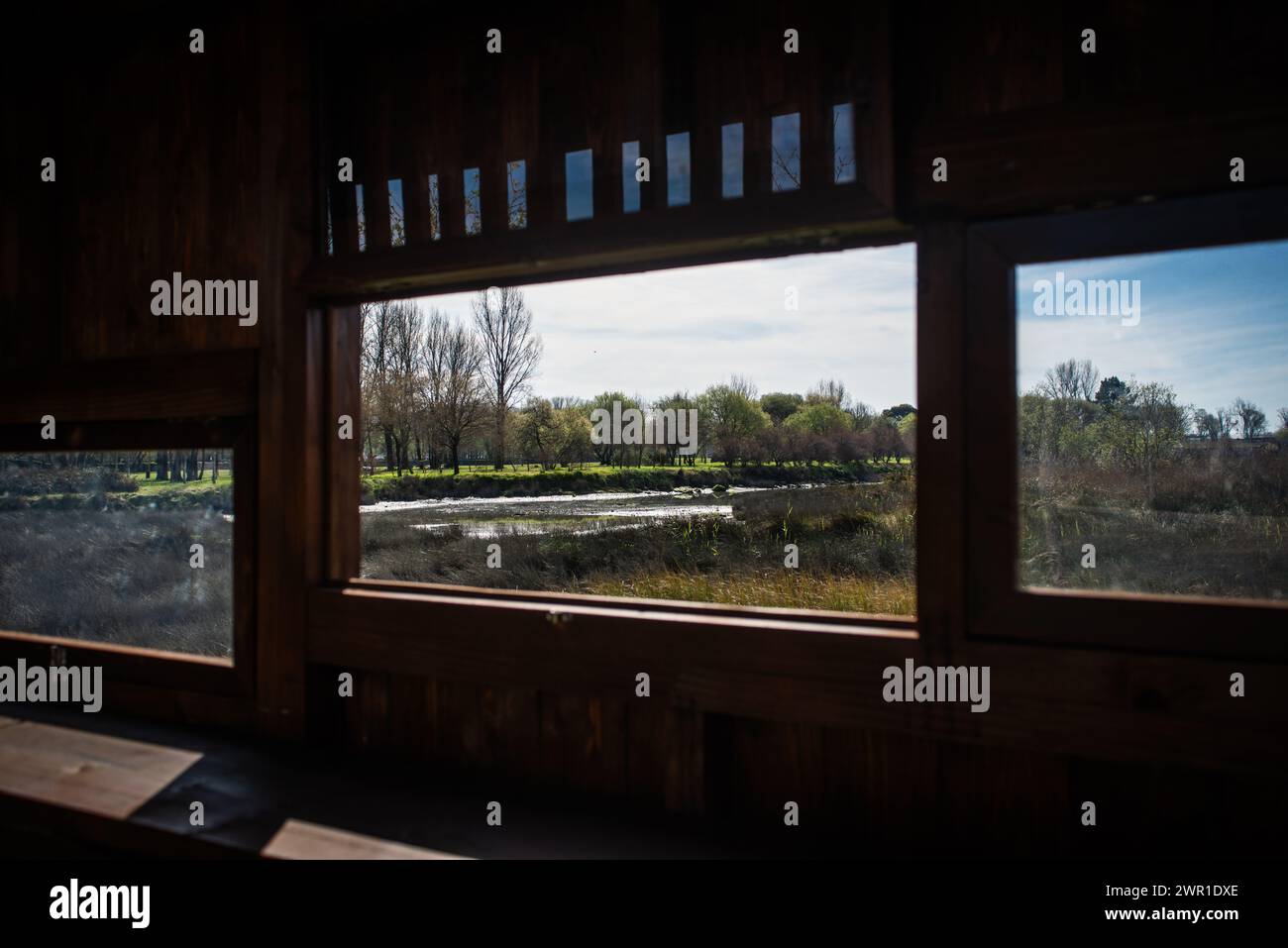 Parc municipal, Viana do castelo, Portugal Banque D'Images