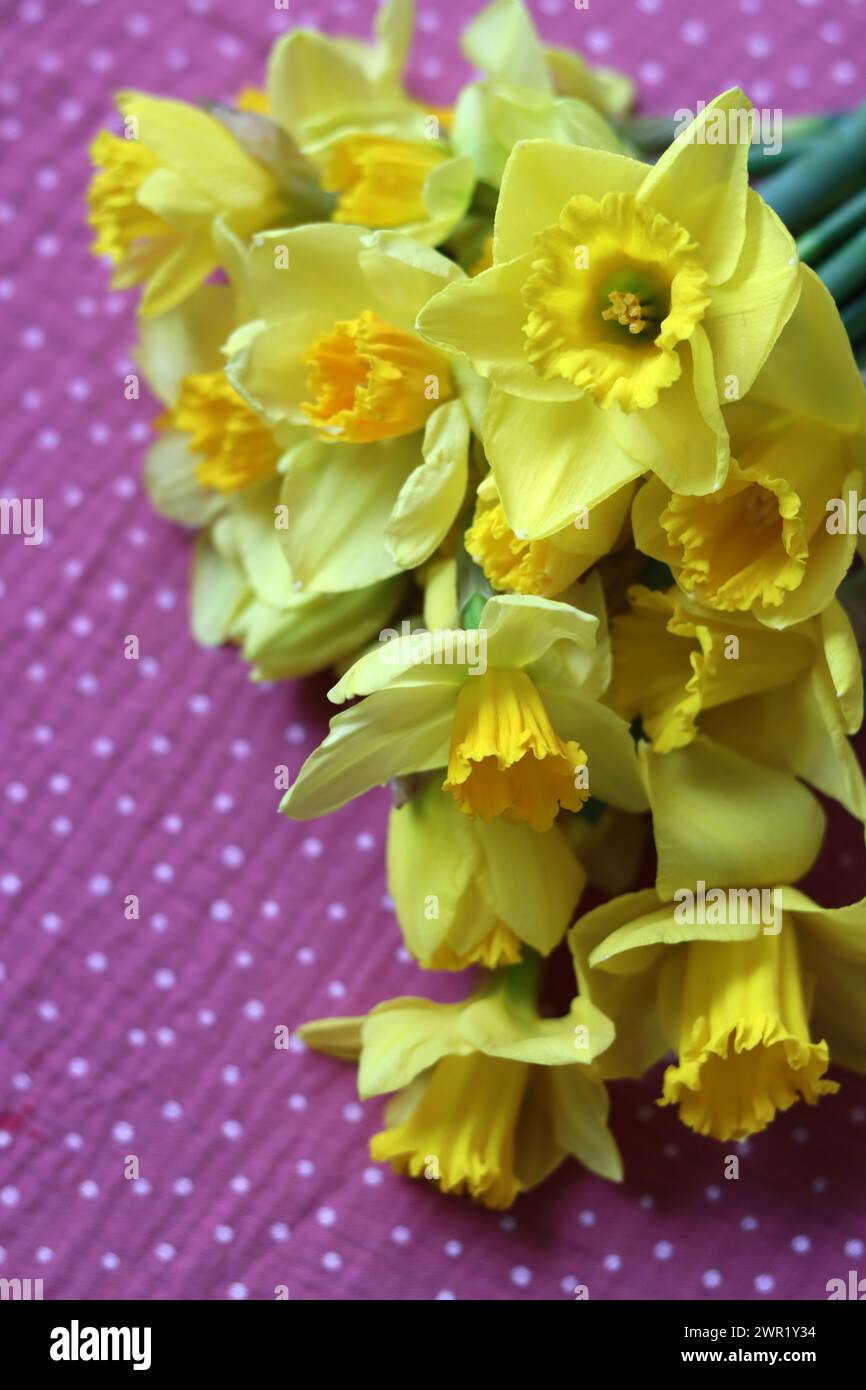 Carte de voeux de Pâques. Bouquet de jonquilles dorées. Concept de saison de Pâques. Banque D'Images