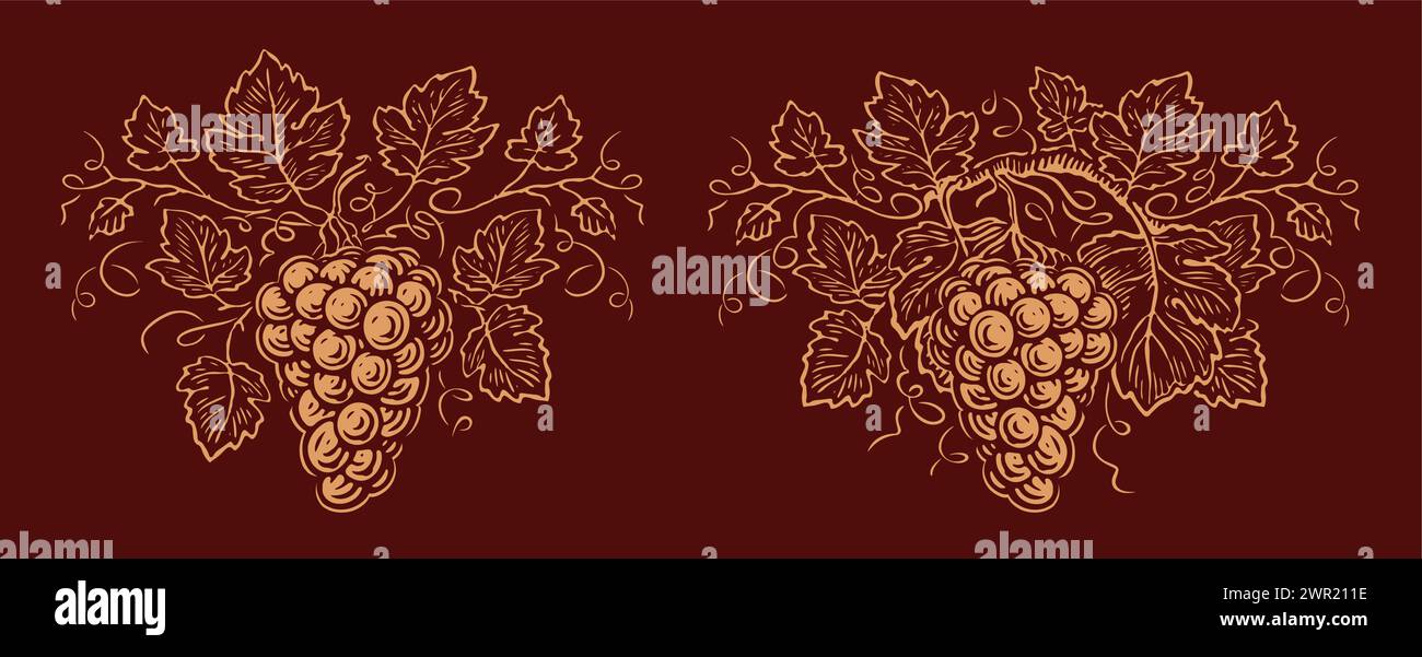 Raisins et feuilles. Grappe de vin d'ornement de vigne. Vignoble, vecteur d'étiquette d'emblème de cave Illustration de Vecteur