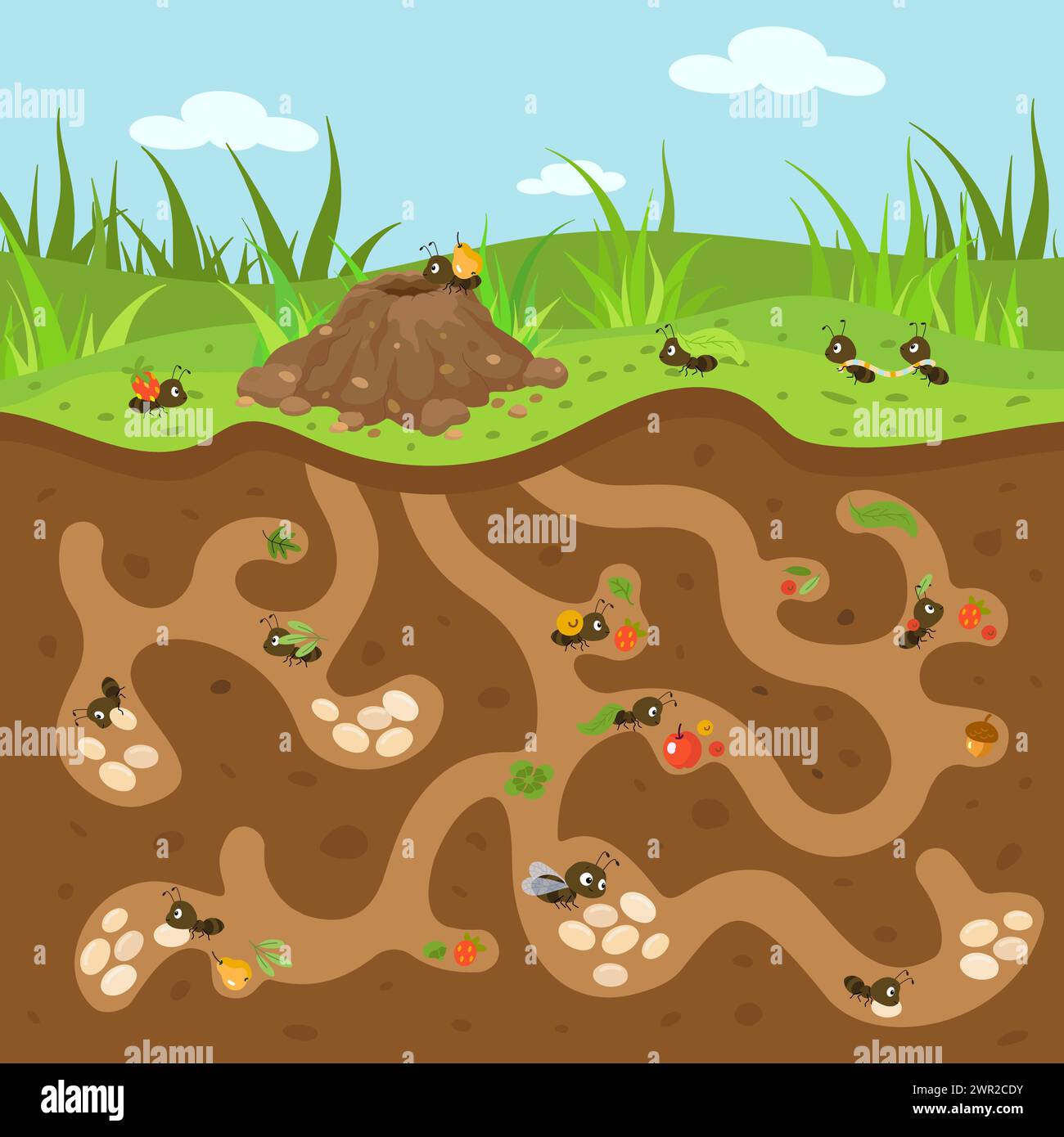 Illustration de fourmilier de bande dessinée. Mignonnes petites fourmis qui travaillent et bougent. Forêt ou jardin faune, passages souterrains et colline. Scène de nature vectorielle de Nowaday Illustration de Vecteur