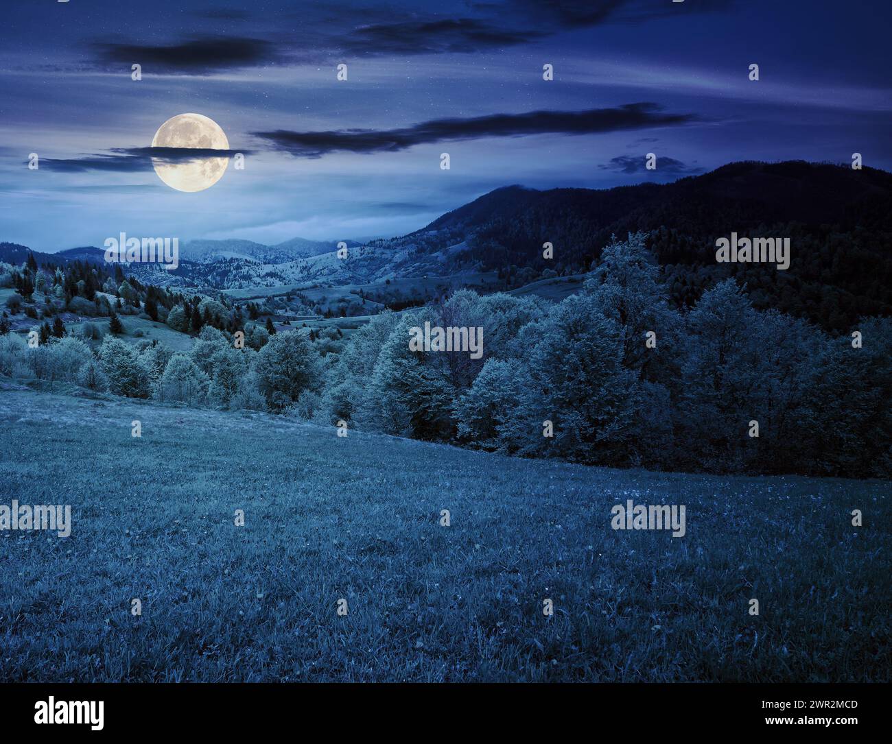paysage de campagne montagneuse des carpates la nuit. forêt derrière la prairie herbeuse en pleine lune Banque D'Images paysage de campagne montagneuse des carpates la nuit. forêt derrière la prairie herbeuse en pleine lune Banque D'Images