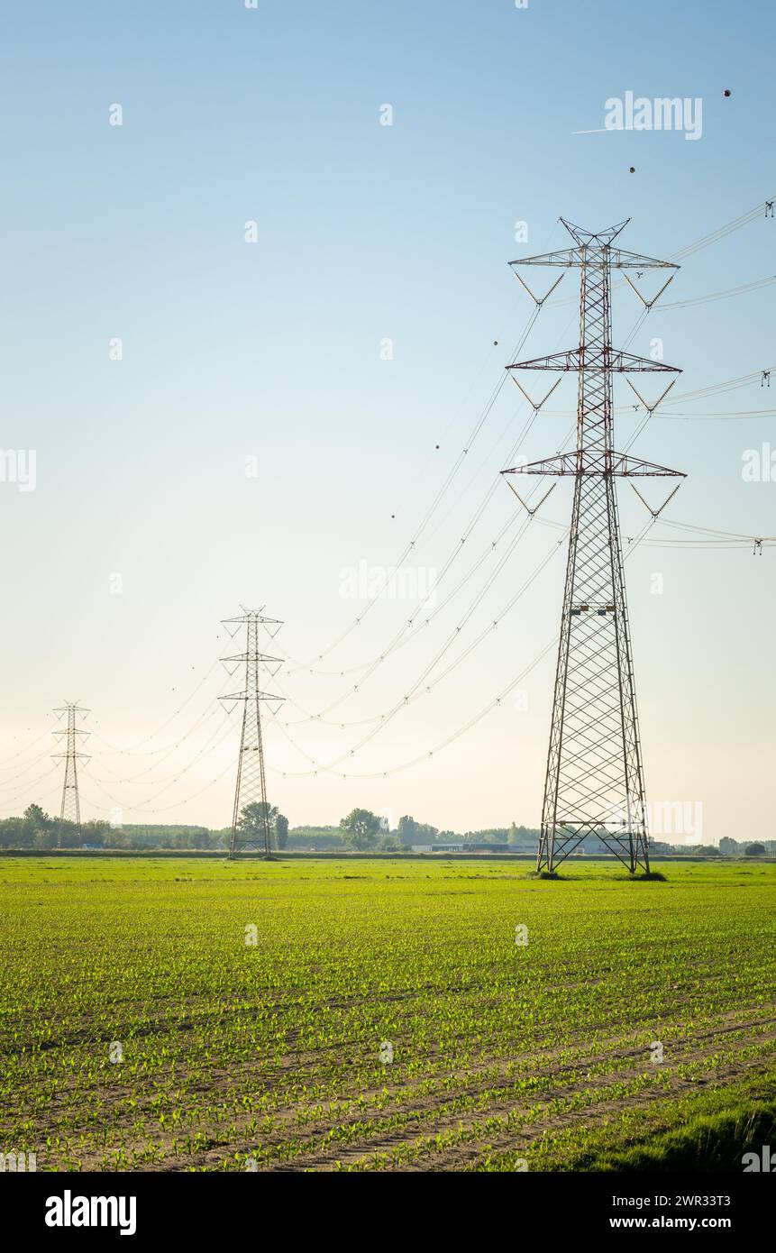 Pylônes électriques soutenant des lignes à haute tension au-dessus des champs cultivés au coucher du soleil au printemps Banque D'Images