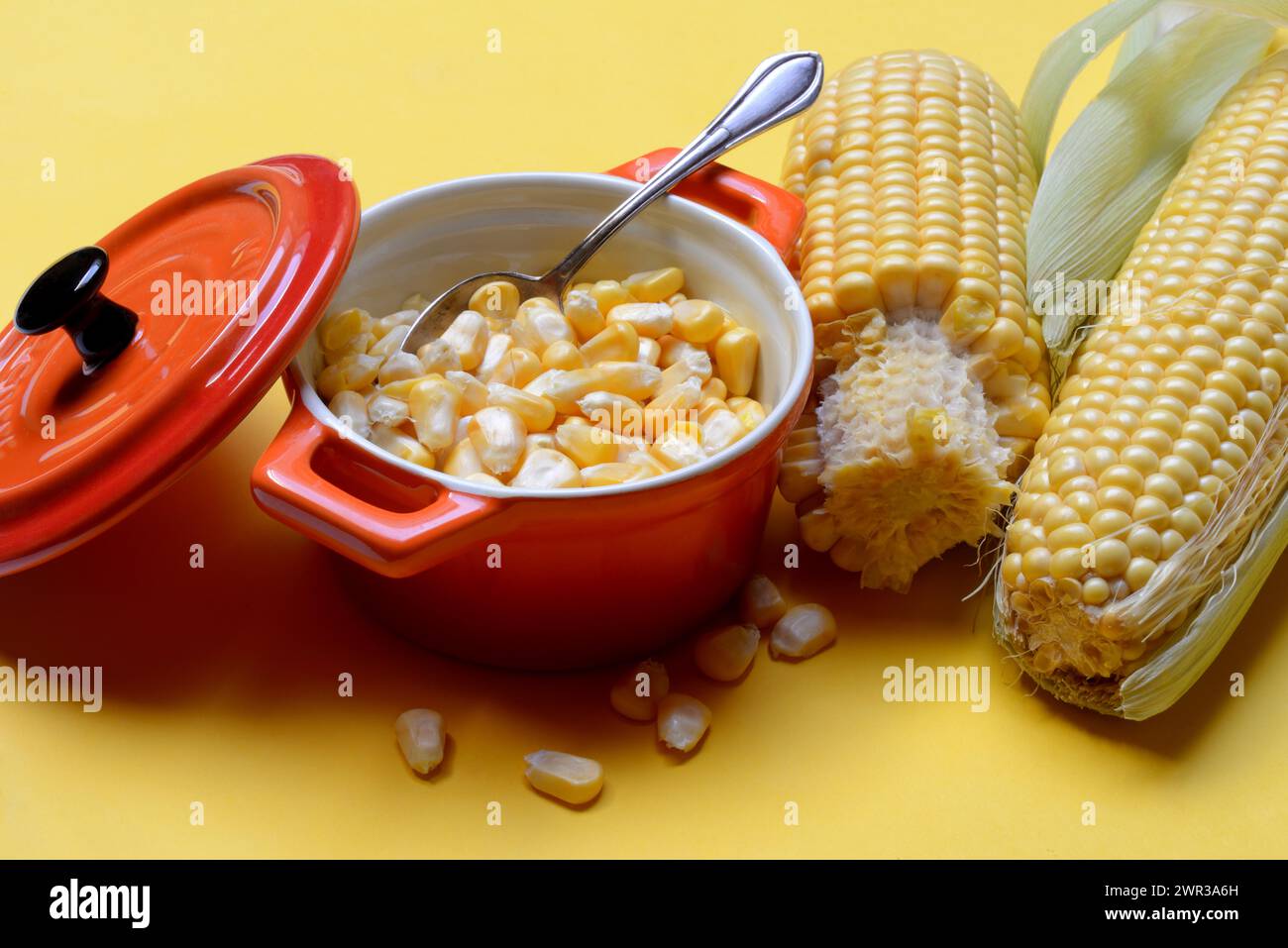 Grains de maïs frais en pots et épis, maïs (Zea mays) Banque D'Images