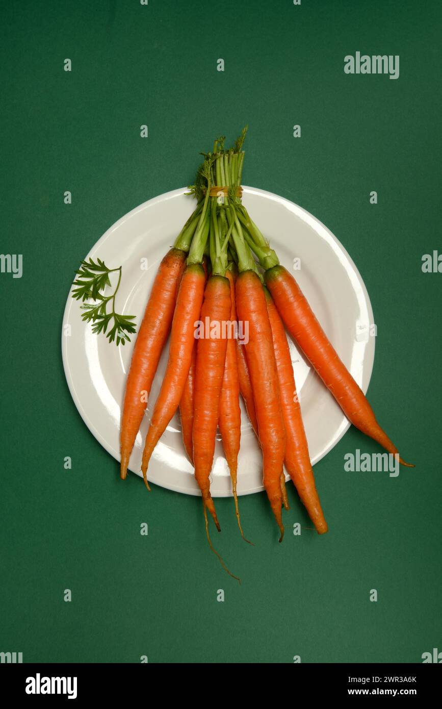 Un bouquet de carottes dans une assiette, Daucus carota, carottes Banque D'Images