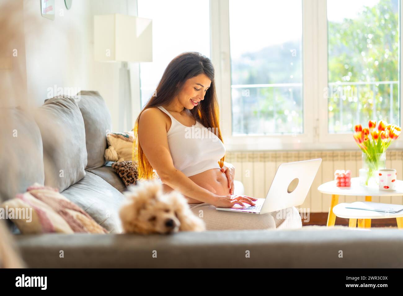 Femme de beauté enceinte utilisant un ordinateur portable assis sur le canapé à la maison à côté d'un chien domestique Banque D'Images