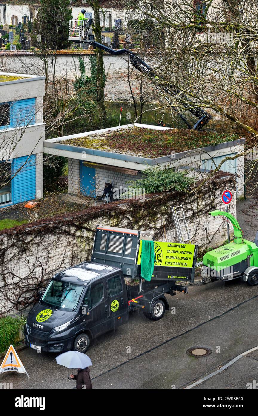 Soin des arbres avec plate-forme de travail, Kempten, Allgaeu, Bavière, Allemagne Banque D'Images