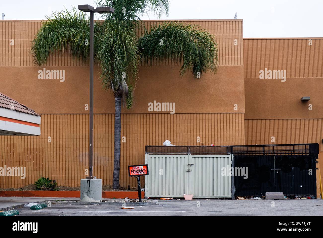 Palmiers et bennes à ordures, Los Angeles, Californie, États-Unis. Banque D'Images