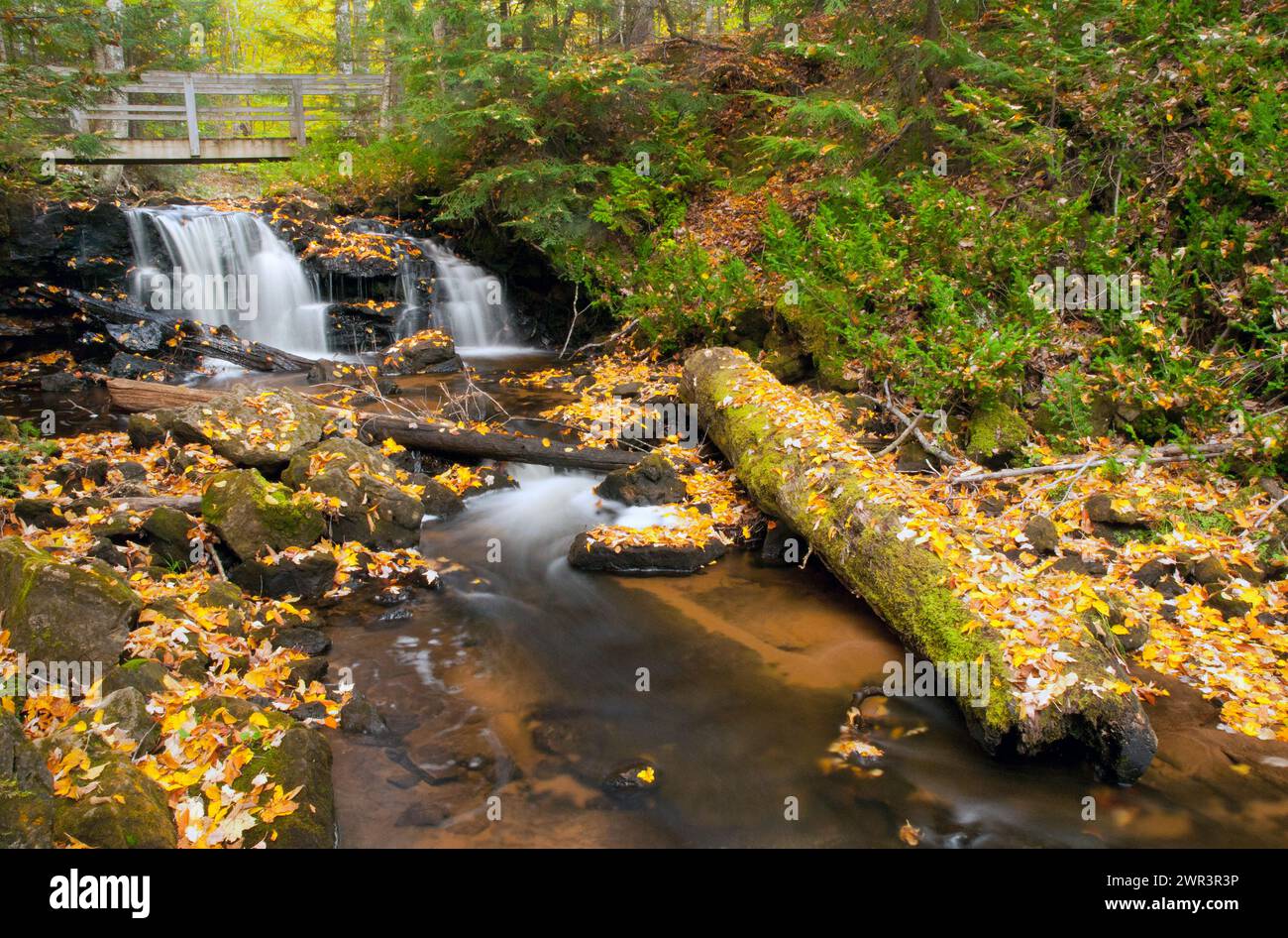 Amérique du Nord ; États-Unis ; Michigan : Upper Peninsula ; Lac supérieur ; Painted Rocks National Seashore ; automne ; Chapel Creek. Banque D'Images