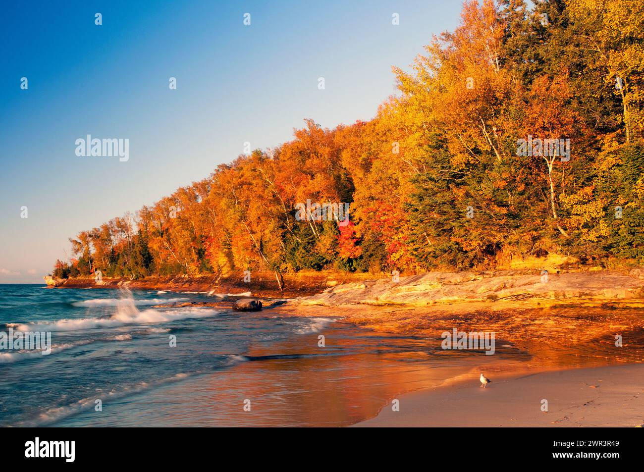 Amérique du Nord ; États-Unis ; Michigan : Upper Peninsula ; Lac supérieur ; Painted Rocks National Seashore ; automne ; dernière lumière du coucher du soleil. Banque D'Images