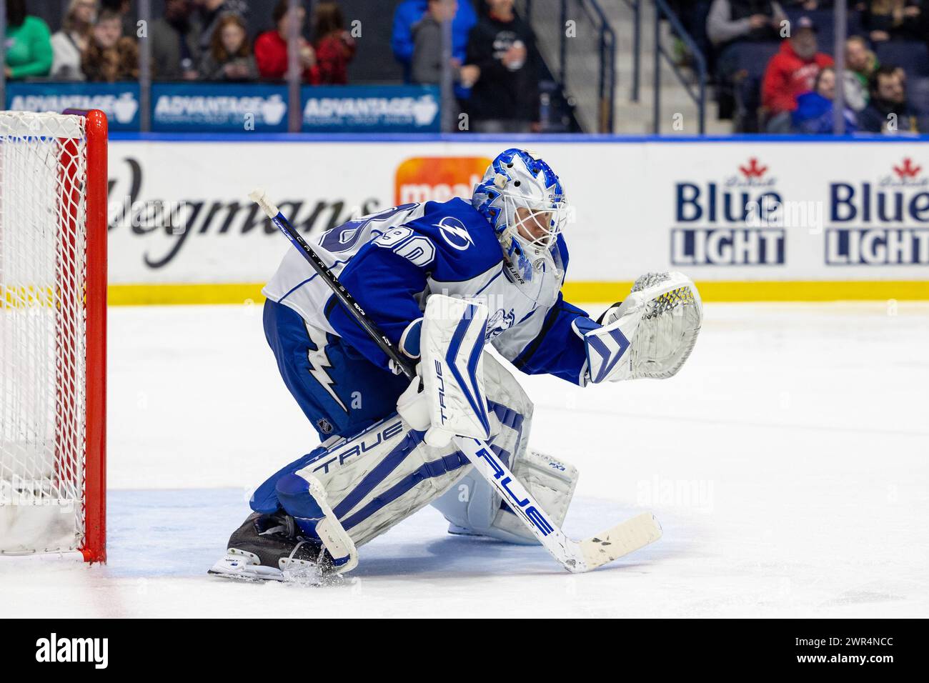 8 mars 2024 : Matt Tompkins (90 ans), gardien de but de Syracuse Crunch, en première période contre les Américains de Rochester. Les Américains de Rochester ont accueilli le Syracuse Crunch dans un match de la Ligue américaine de hockey au Blue Cross Arena de Rochester, New York. (Jonathan Tenca/CSM) Banque D'Images