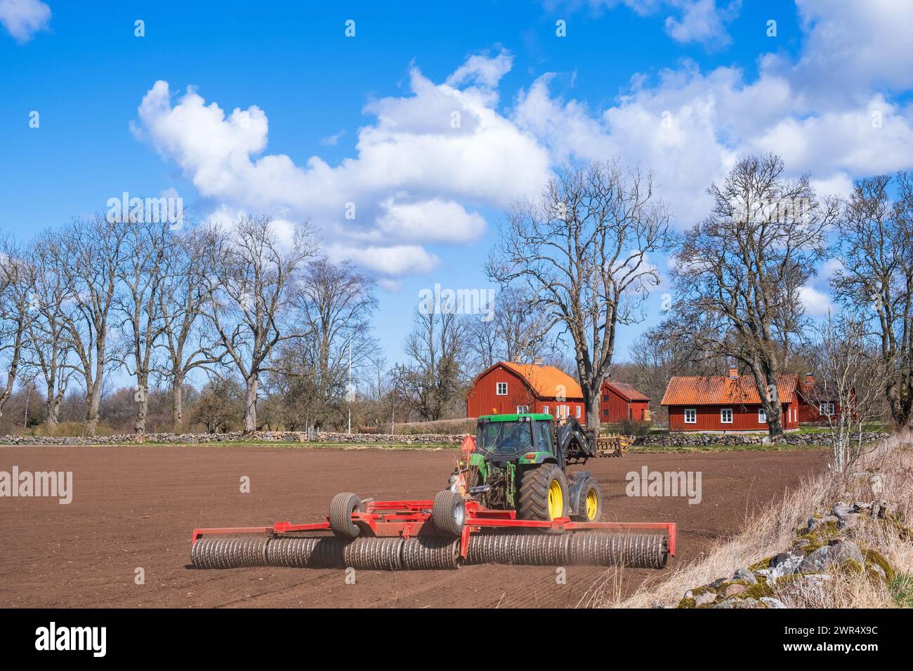 Champ avec un tracteur travaillant avec un broyeur au ressort Banque D'Images