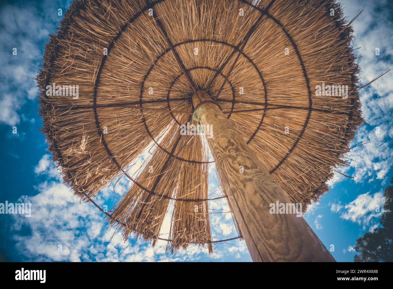 Sous l'ombre : parapluie de plage Bliss Banque D'Images