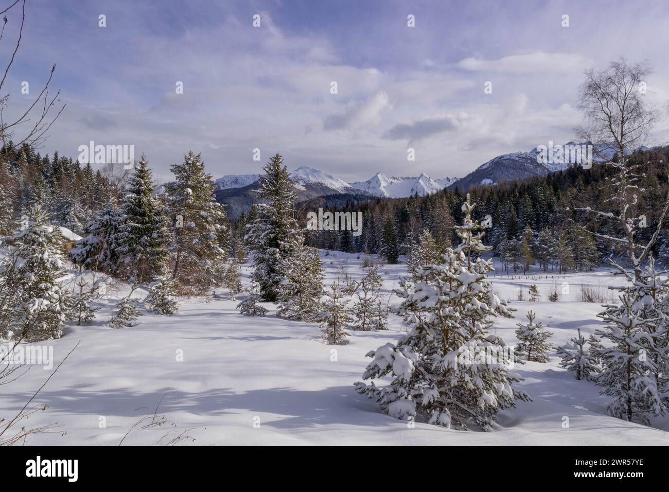 paysage enneigé dans les alpes. Montagnes couvertes de neige en hiver. Beaucoup de neige. Paysage blanc et atmosphère calme en hiver. Banque D'Images