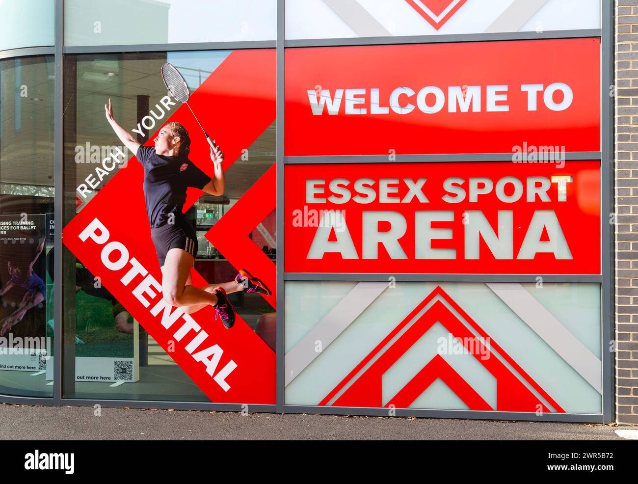 School of Sport, Rehabilitation and Exercise Sciences, Université d'Essex, Colchester, Essex, Angleterre, ROYAUME-UNI Banque D'Images