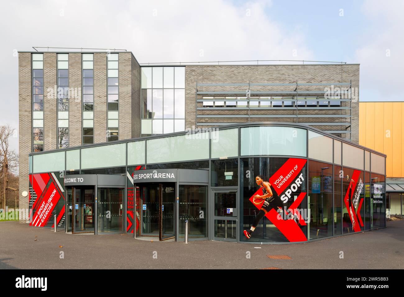 School of Sport, Rehabilitation and Exercise Sciences, Université d'Essex, Colchester, Essex, Angleterre, ROYAUME-UNI Banque D'Images