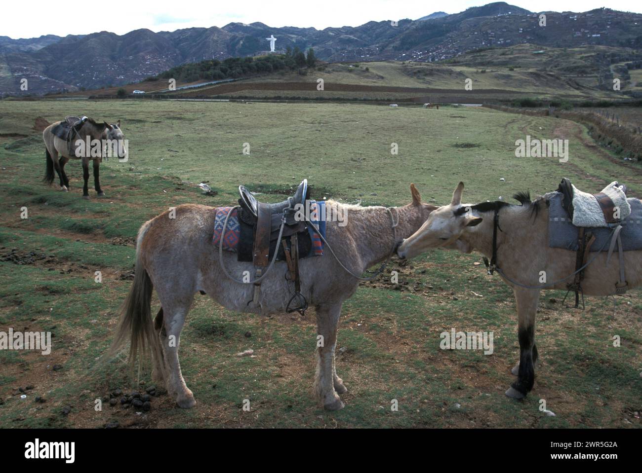 Cuzco, Pérou Banque D'Images