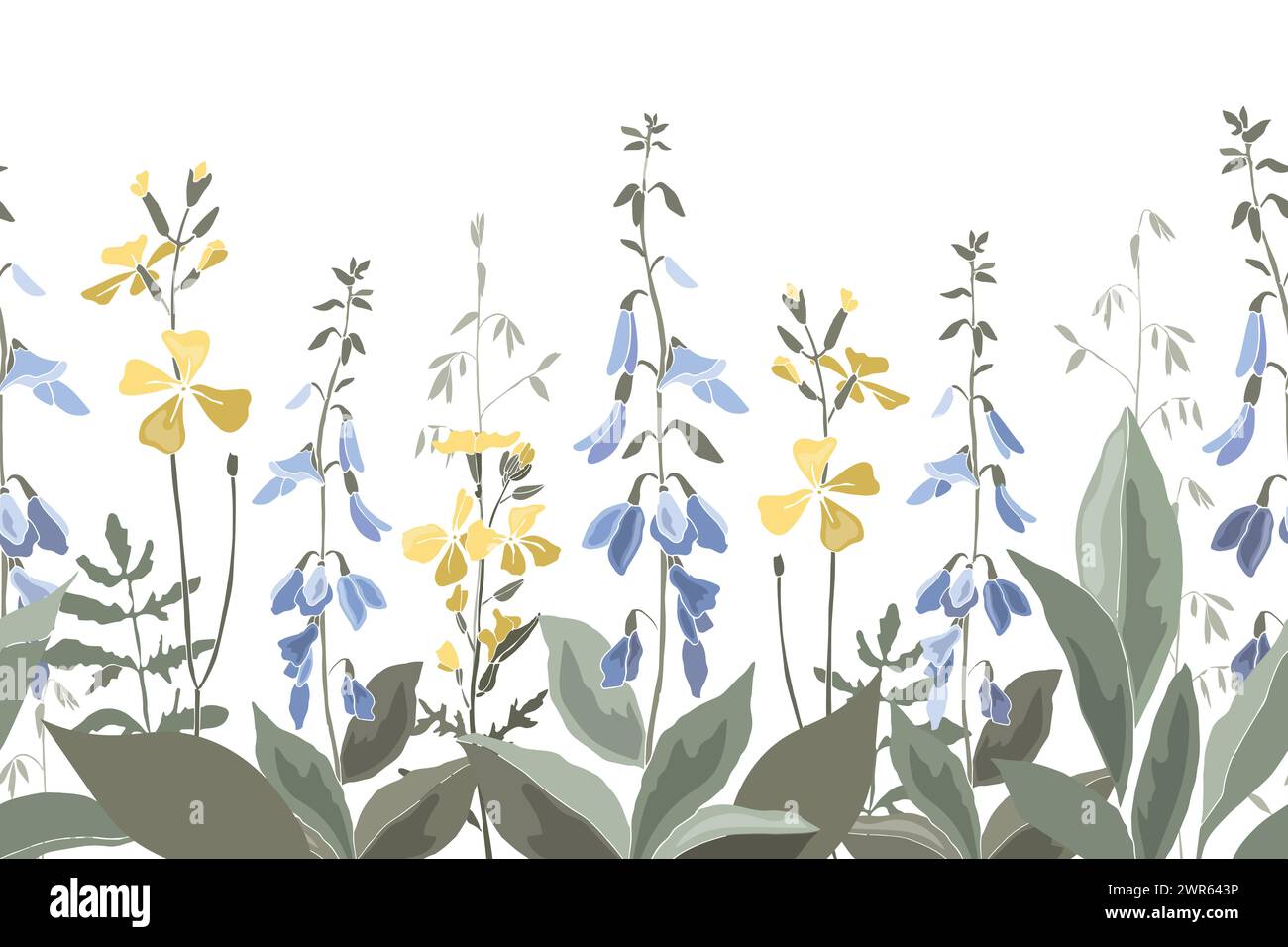 Vecteur floral modèle sans couture, frontière avec des fleurs de prairie et des herbes. Illustration de Vecteur