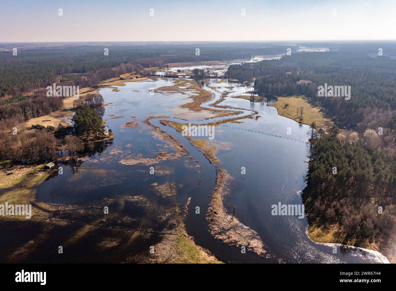 Champs, prairies et forêts inondés lors de précipitations excessives. Une rivière inondant les champs et les forêts, vue depuis un drone.. Banque D'Images
